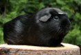 /album/fotogalerie2/img-9672-jpg/